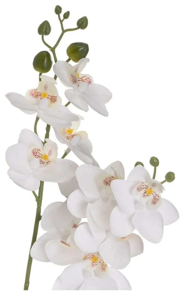 Sztuczny kwiat (wysokość 39 cm) Orchid – Casa Selección