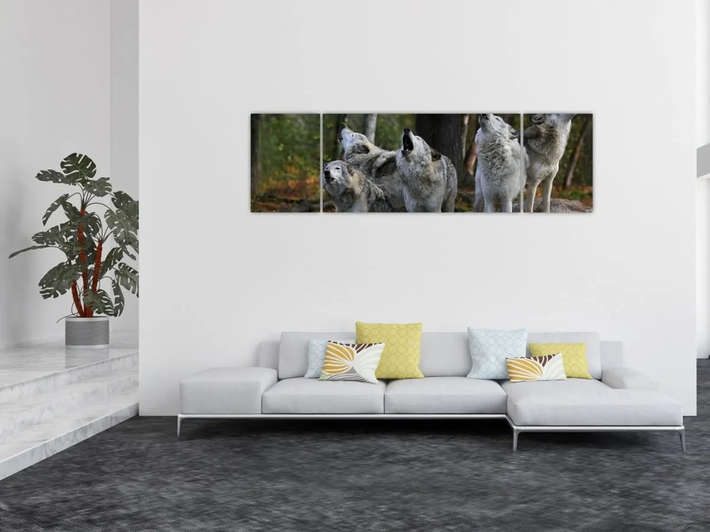 Obraz - Wilki na skale (170x50 cm)