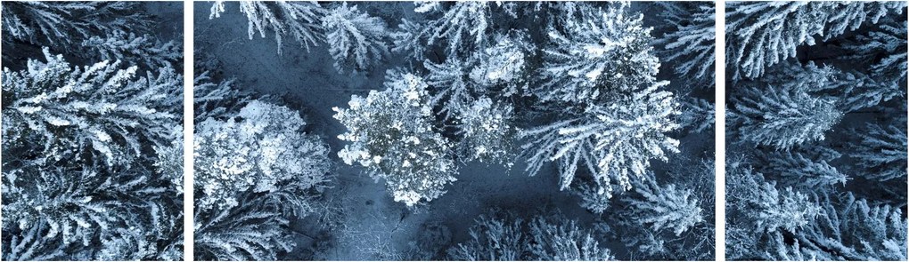 Obraz - Śnieżny las (170x50 cm)