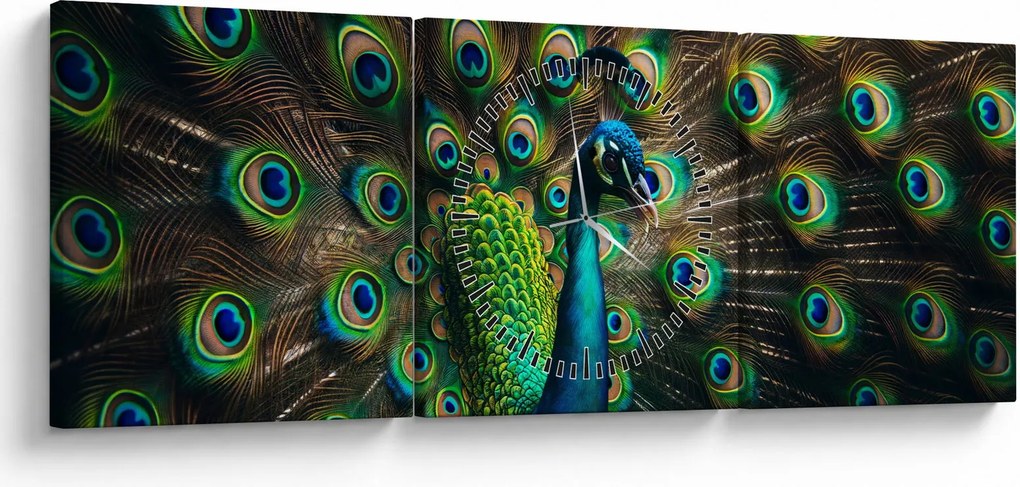 Obraz – Paw (z zegarem) (90x30 cm)