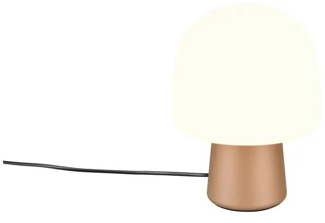 Biało-brązowa lampa stołowa ze szklanym kloszem (wysokość 27 cm) Steen – Trio