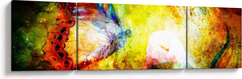 Obraz - Kosmiczny motyl (170x50 cm)