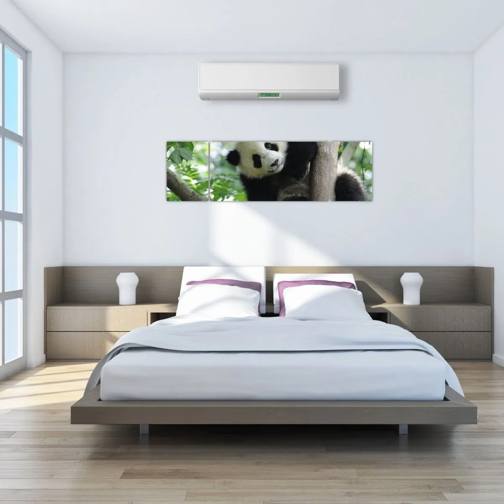 Obraz - Panda na drzewie (170x50 cm)