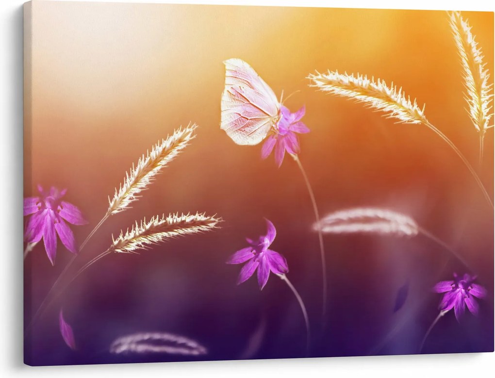 Obraz - Różowy motyl (70x50 cm)