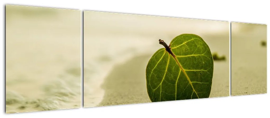 Obraz liścia w piasku (170x50 cm)