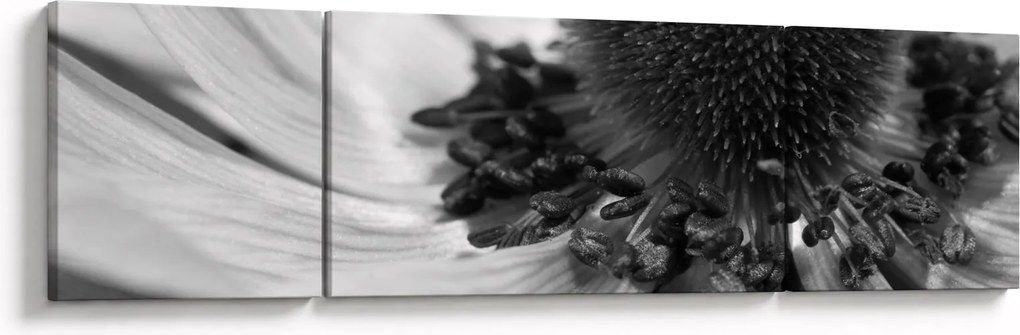 Obraz - Kwiat w czerni i bieli (170x50 cm)