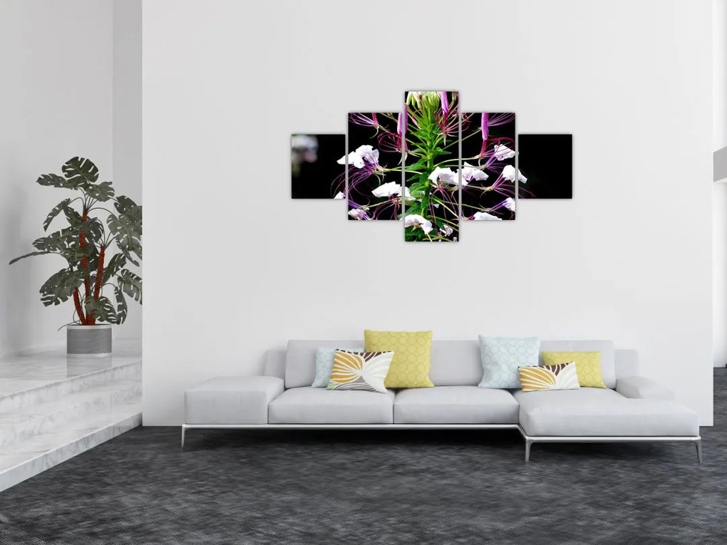 Obraz kwiatu (125x70 cm)