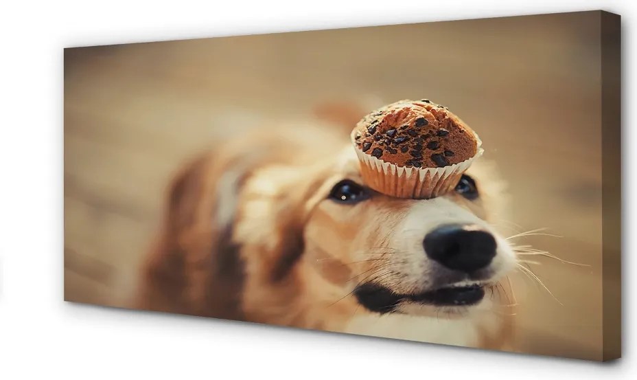 Obraz drukowany na płótnie Pies i Babeczka