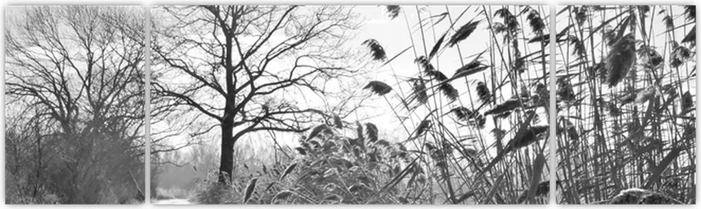 Obraz - Pola w zimie (170x50 cm)