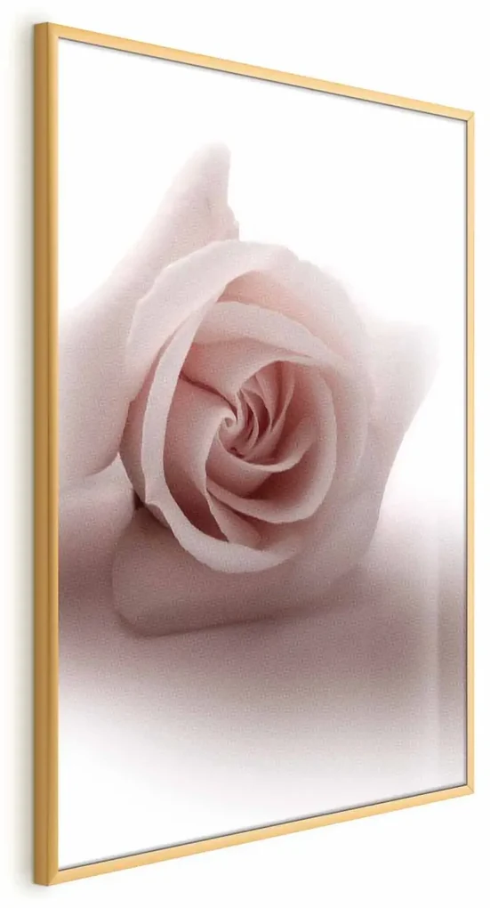 Plakat Różany cień 21x30 cm z ramą złotą bez marginesu ARTGEIST B