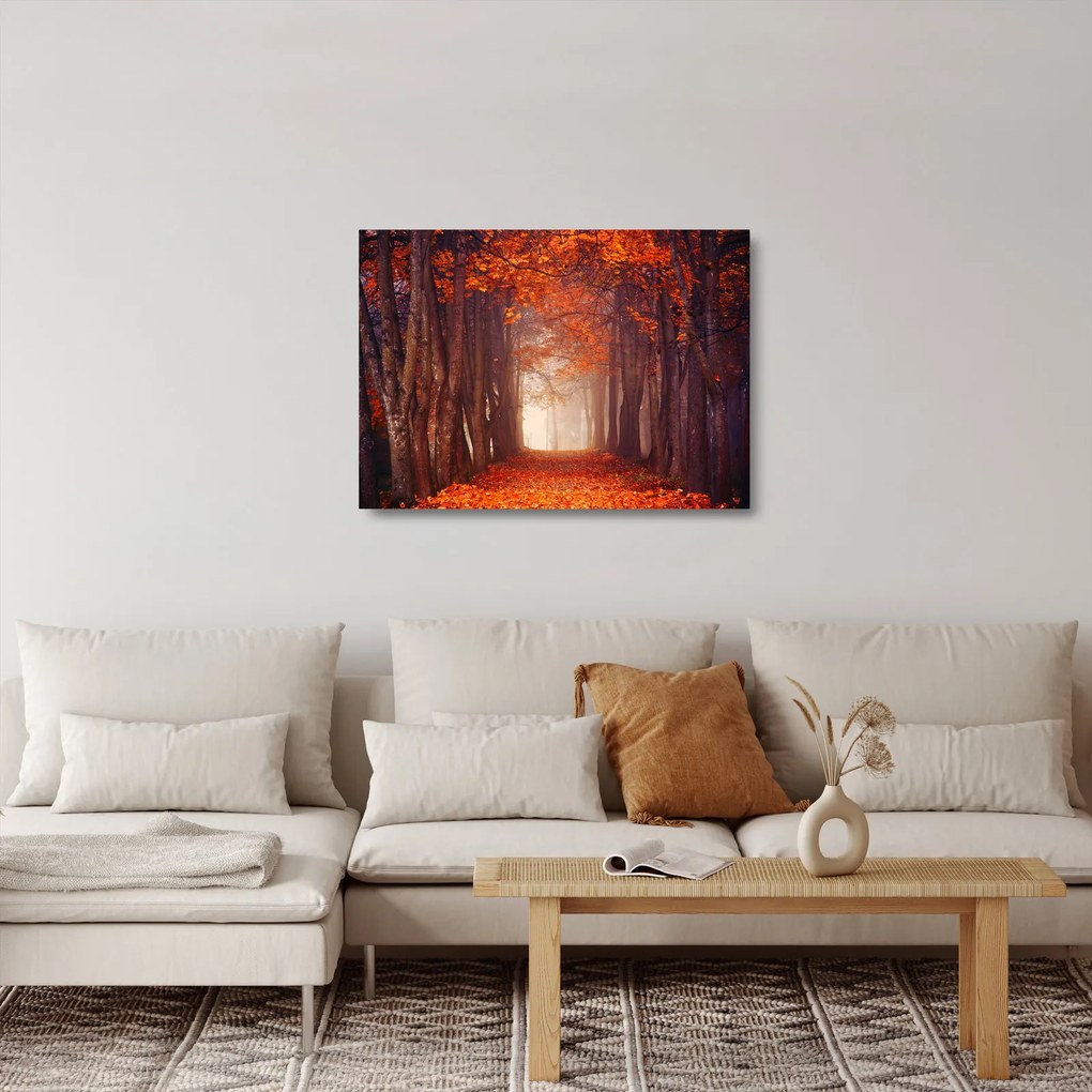 Obraz na szkle - Jesienny las (70x50 cm)