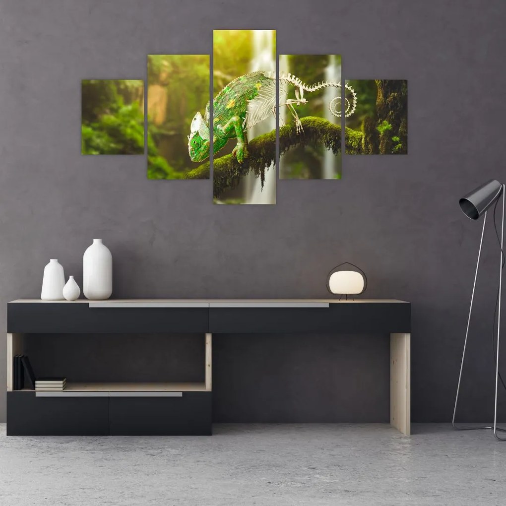 Obraz kameleona (125x70 cm)