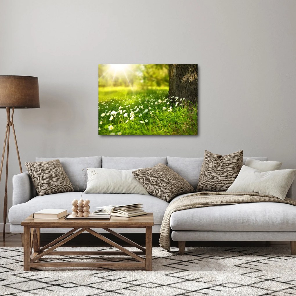 Obraz polany i kwiatów (70x50 cm)