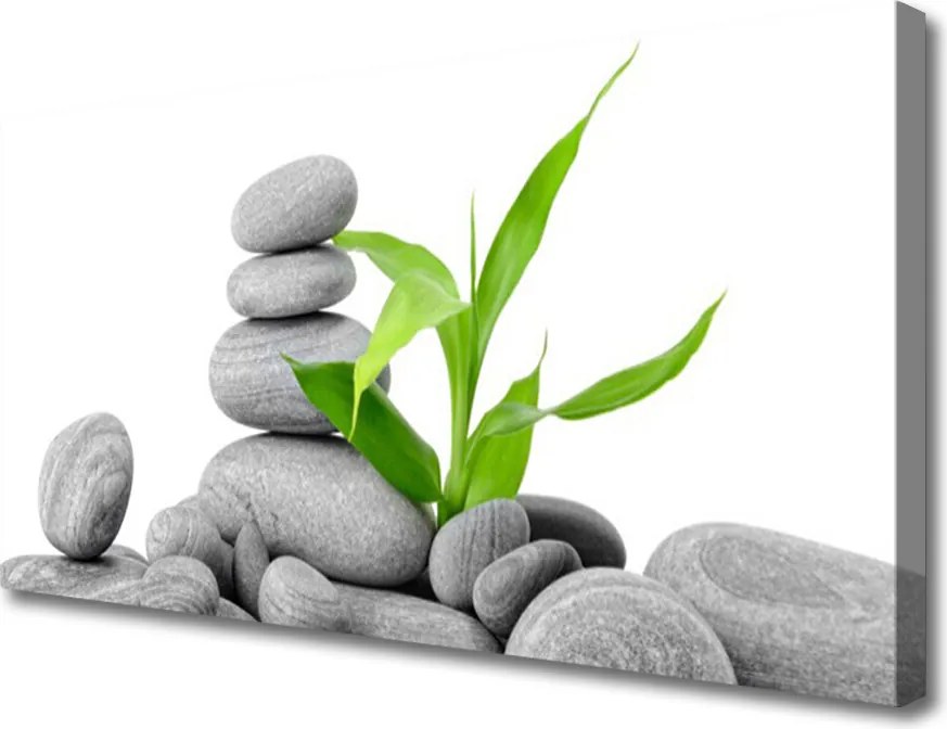 Zdjęcie na płótnie Kompozycja Kamieni i Liści