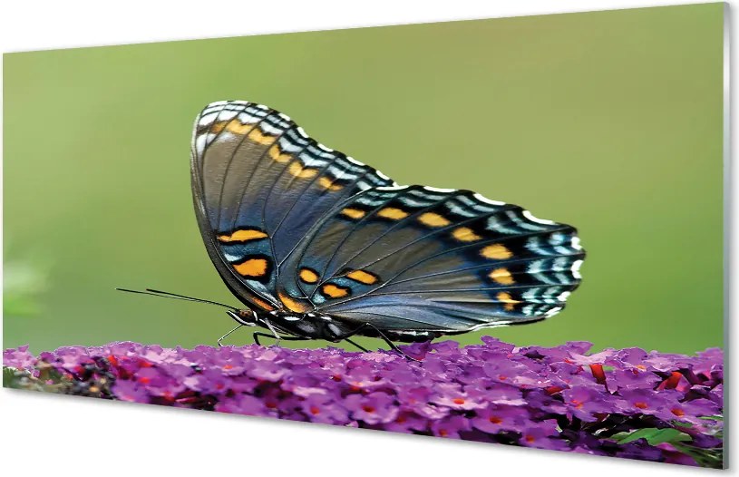 Panel nad Blat Kuchenny Barwny Motyl na Kwiatach