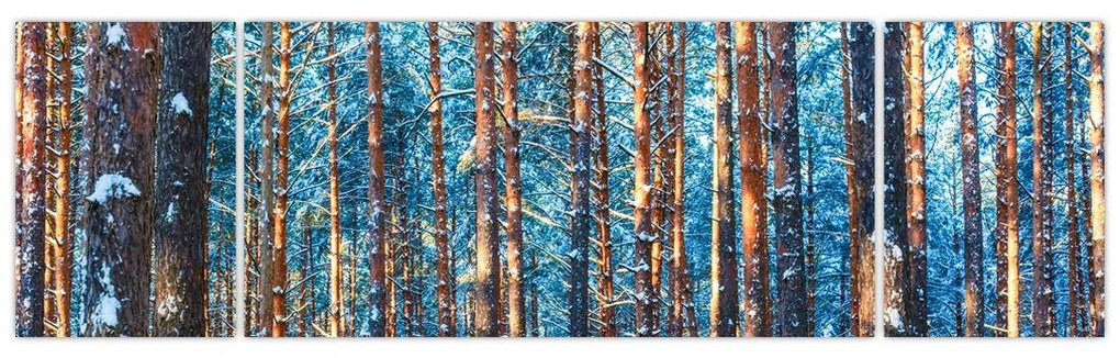 Obraz - Zimowy las (170x50 cm)