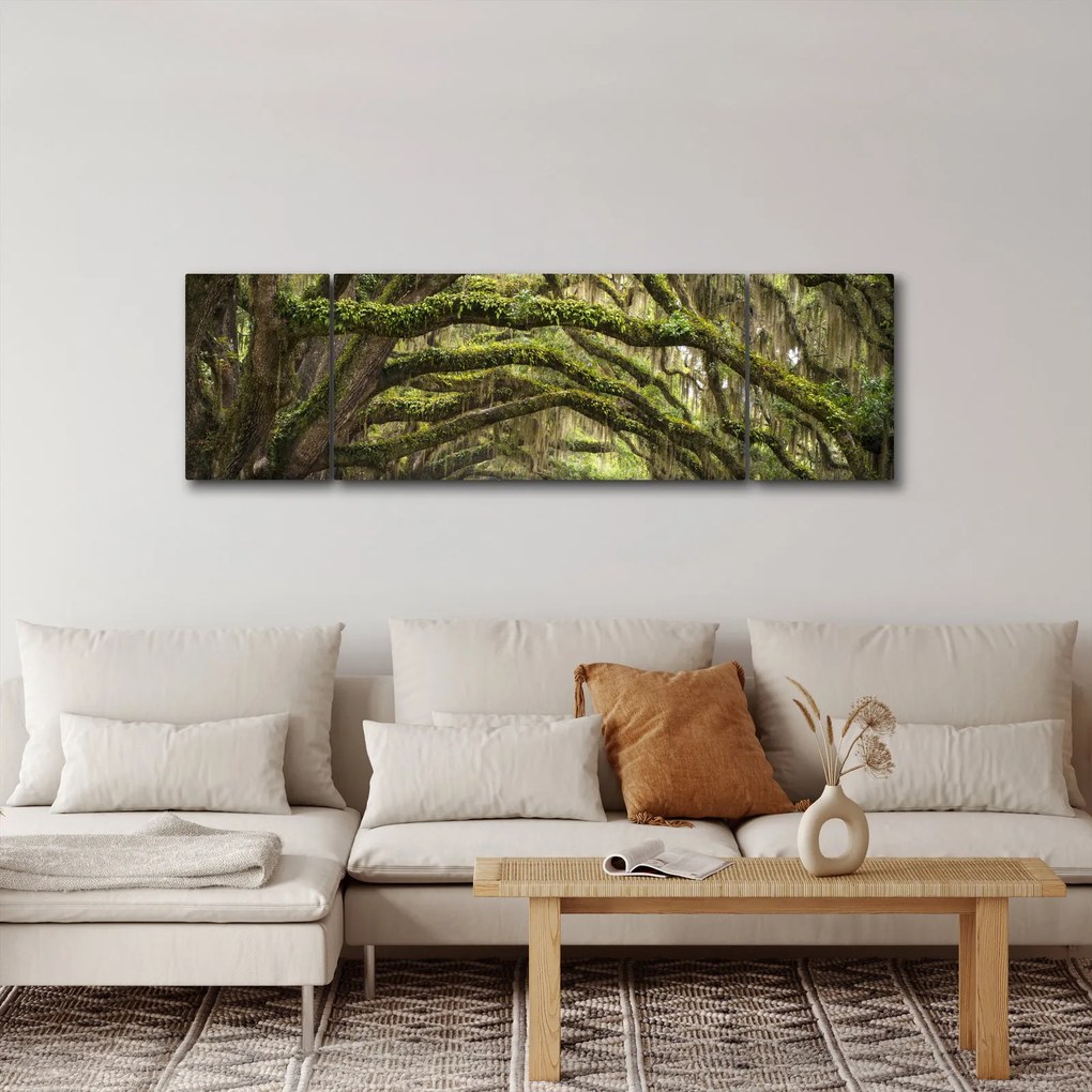 Obraz - Oaks Avenue, Charleston, Karolina Południowa, USA (170x50 cm)