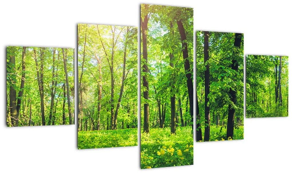 Obraz - Wiosenny las liściasty (125x70 cm)