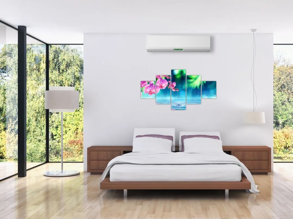 Obraz - Orchidea (125x70 cm)