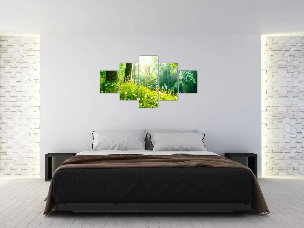 Obraz - Magiczna łąka pełna mniszków lekarskich (125x70 cm)
