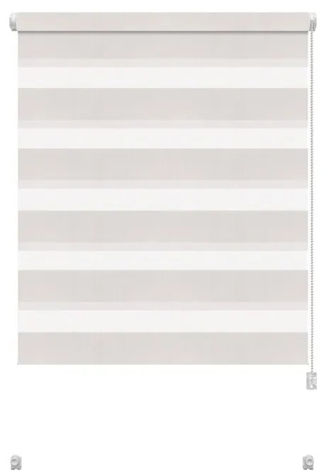 Biała roleta dzień i noc 97x150 cm Zebra – Gardinia