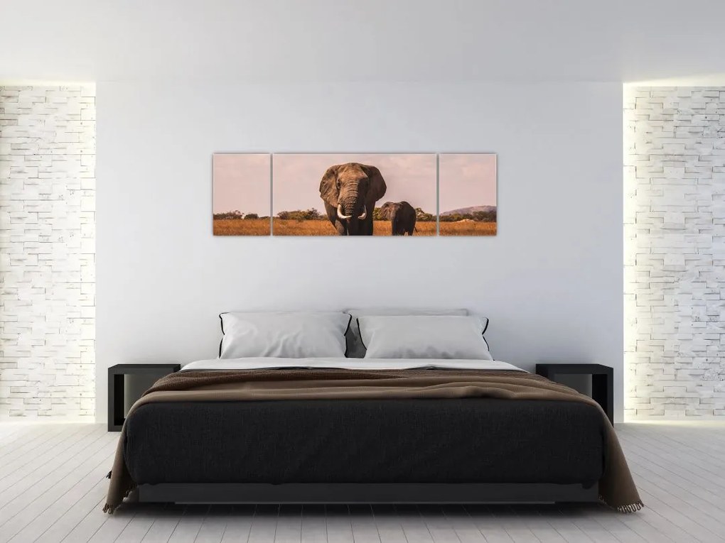 Obraz - Przybycie słonia (170x50 cm)