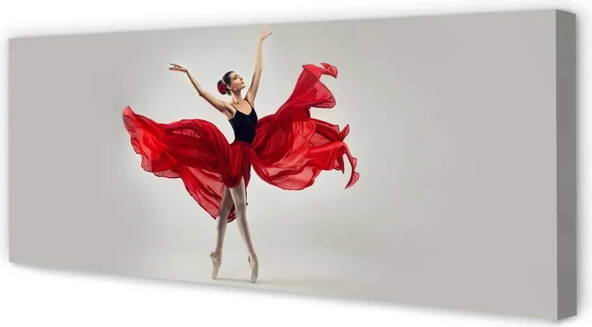 Zdjęcie na płótnie Kobieta Baletnica
