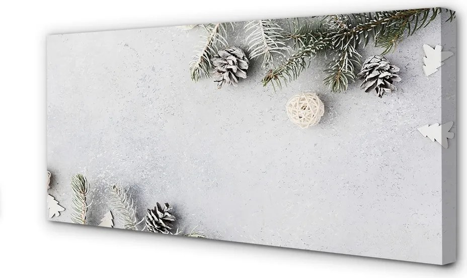 Obraz na płótnie Gałązki i Szyszki