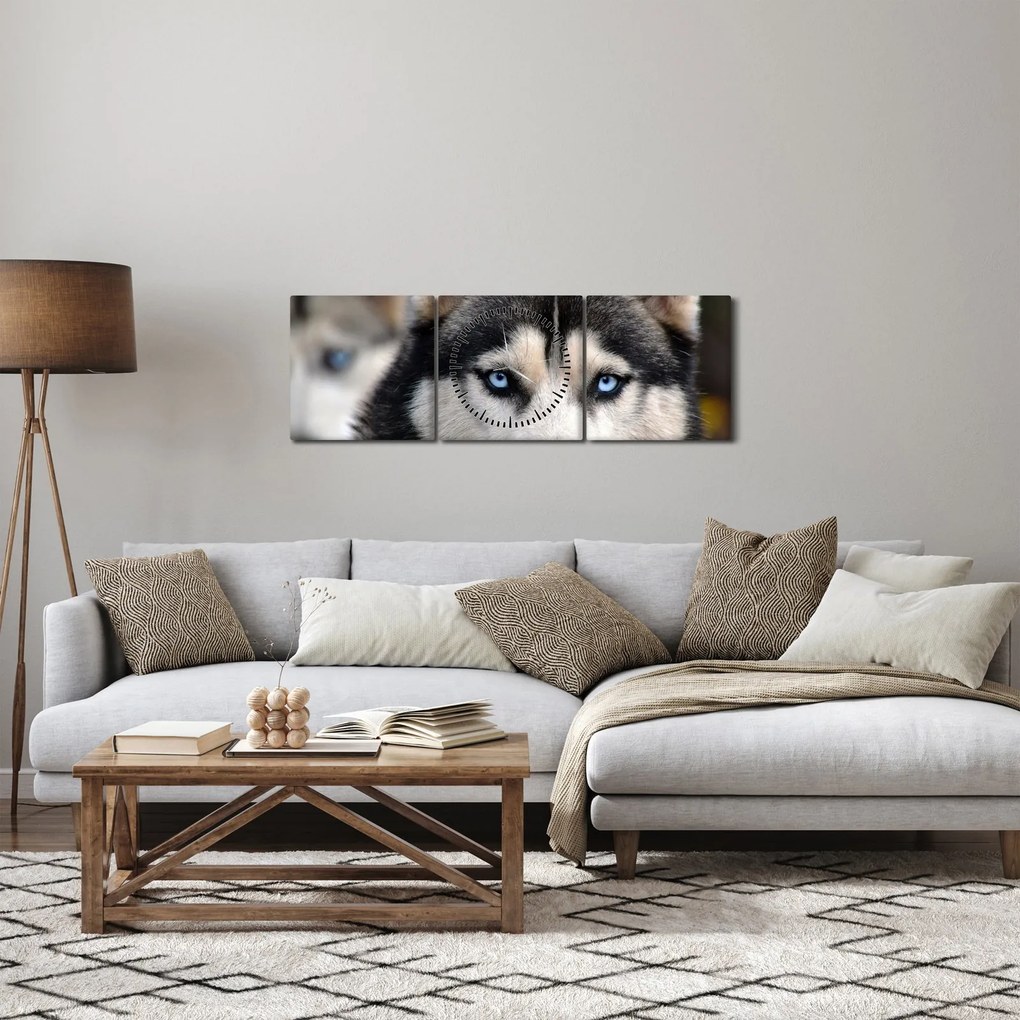 Obraz psa husky (z zegarem) (90x30 cm)