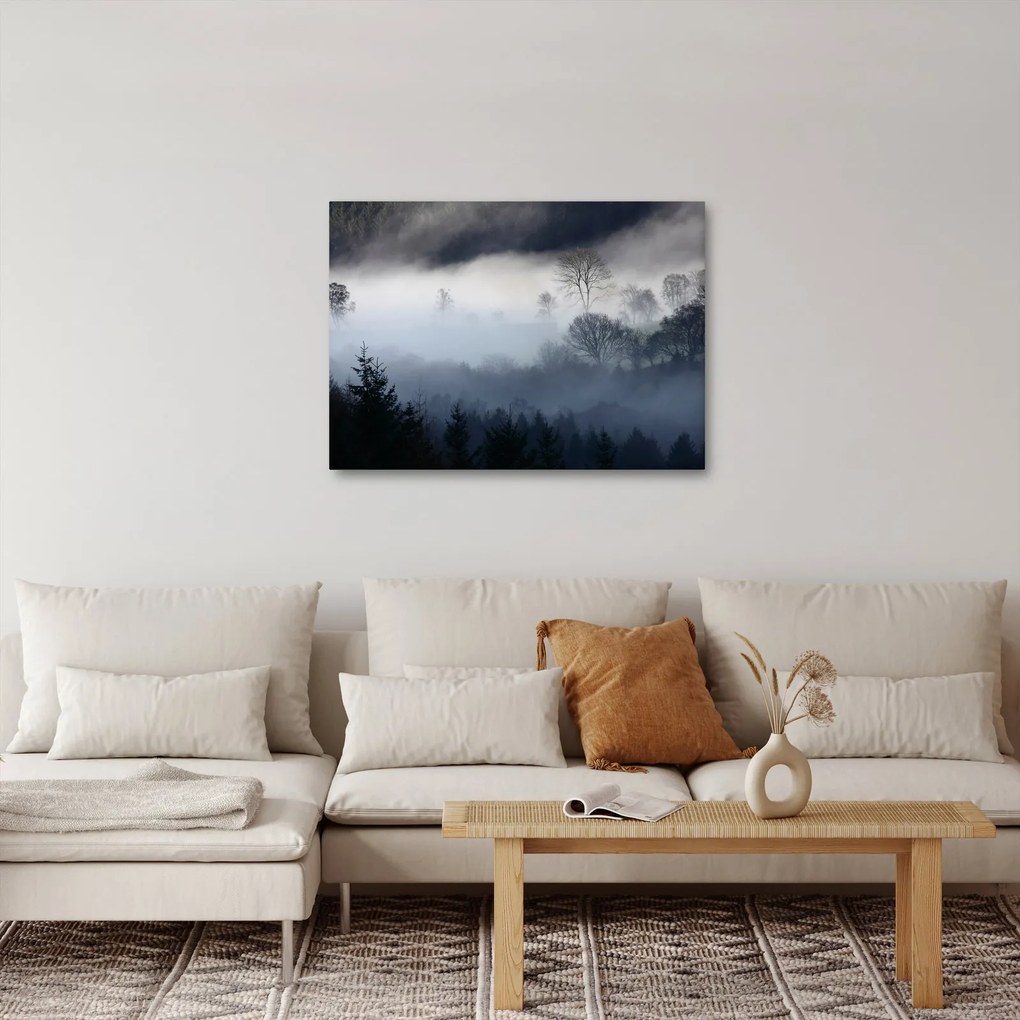 Obraz mgły nad lasem (70x50 cm)