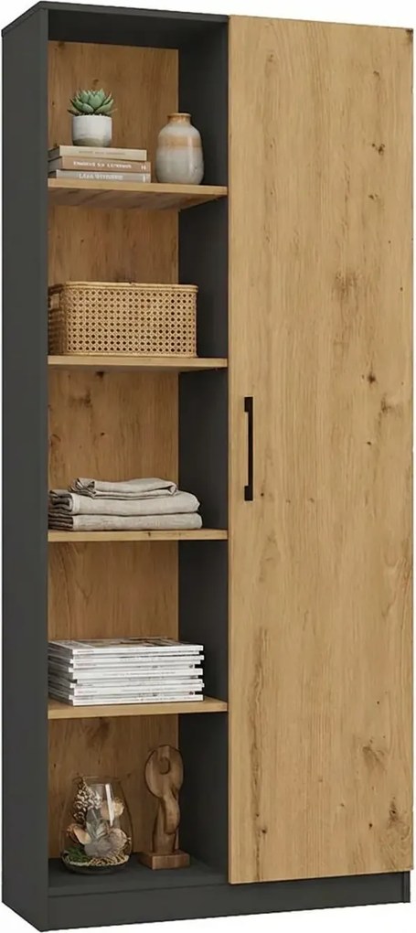 Regał Z Półkami Do Salonu Dąb Artisan + Antracyt C2-C51