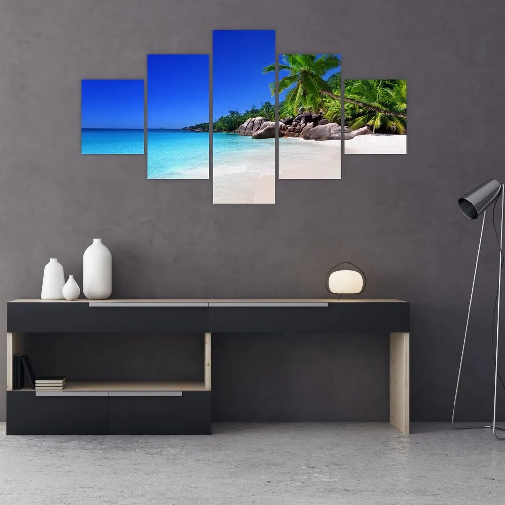 Obraz plaży na wyspie Praslin (125x70 cm)