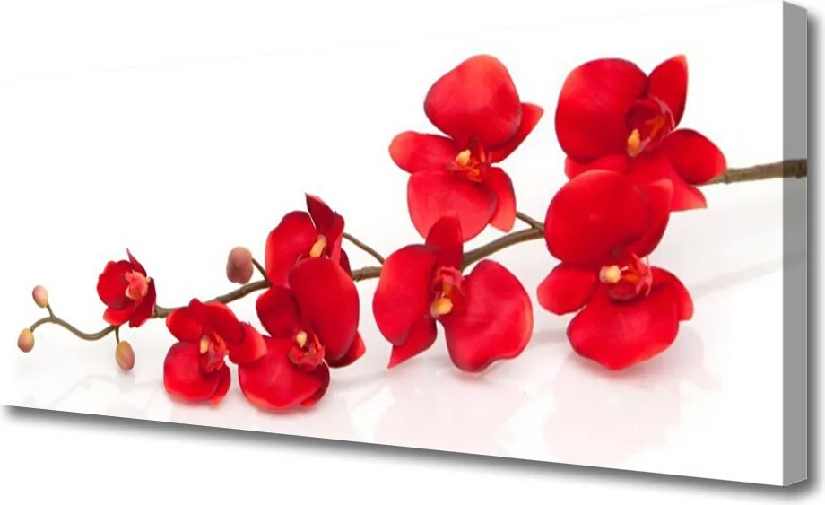 Zdjęcie na płótnie Klasyczny Motyw Botaniczny