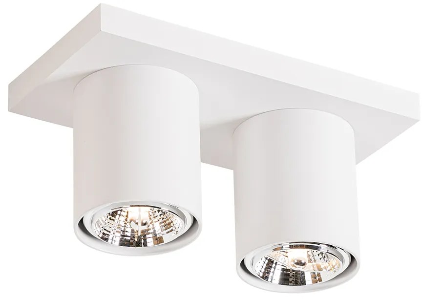 Nowoczesny plafon z reflektorami biały 2-światła - Tubo