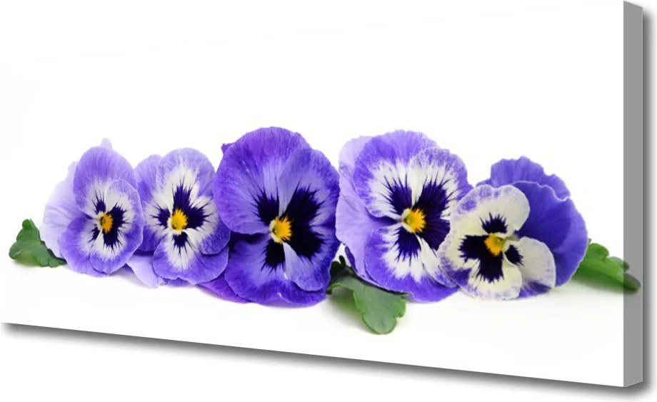 Obraz canvas Monumentalne Pasmo Górskie