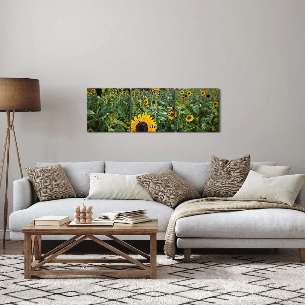 Obraz - Sunflower Field II. (z zegarem) (90x30 cm)