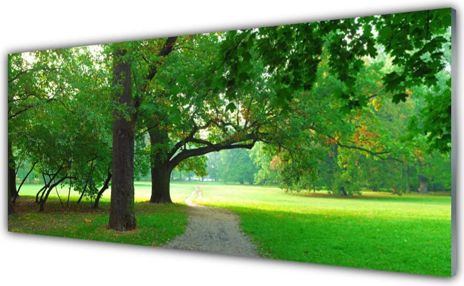 Szkło do Kuchni na Ścianę Aleja w Cieniu Drzew
