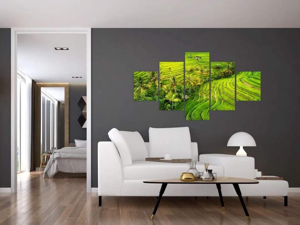 Obraz - Pola ryżowe (125x70 cm)