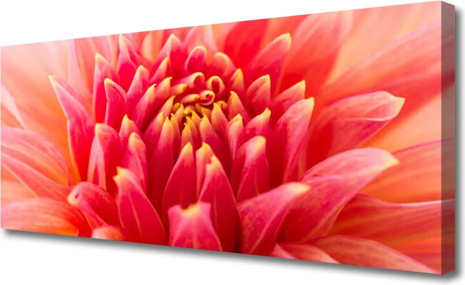 Obraz canvas Subtelny Pączek Kwiatowy