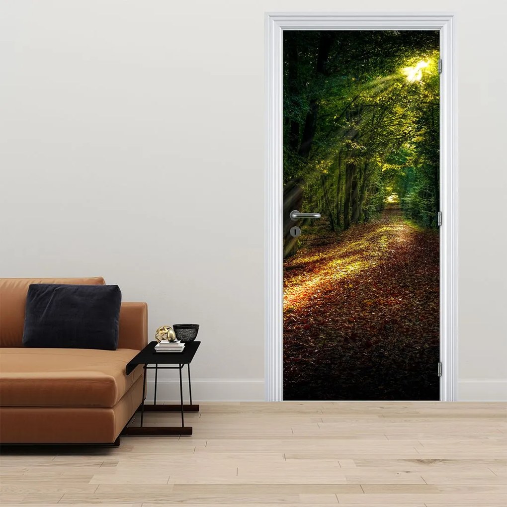 Fototapeta na drzwi - Leśna ścieżka (95x205cm)