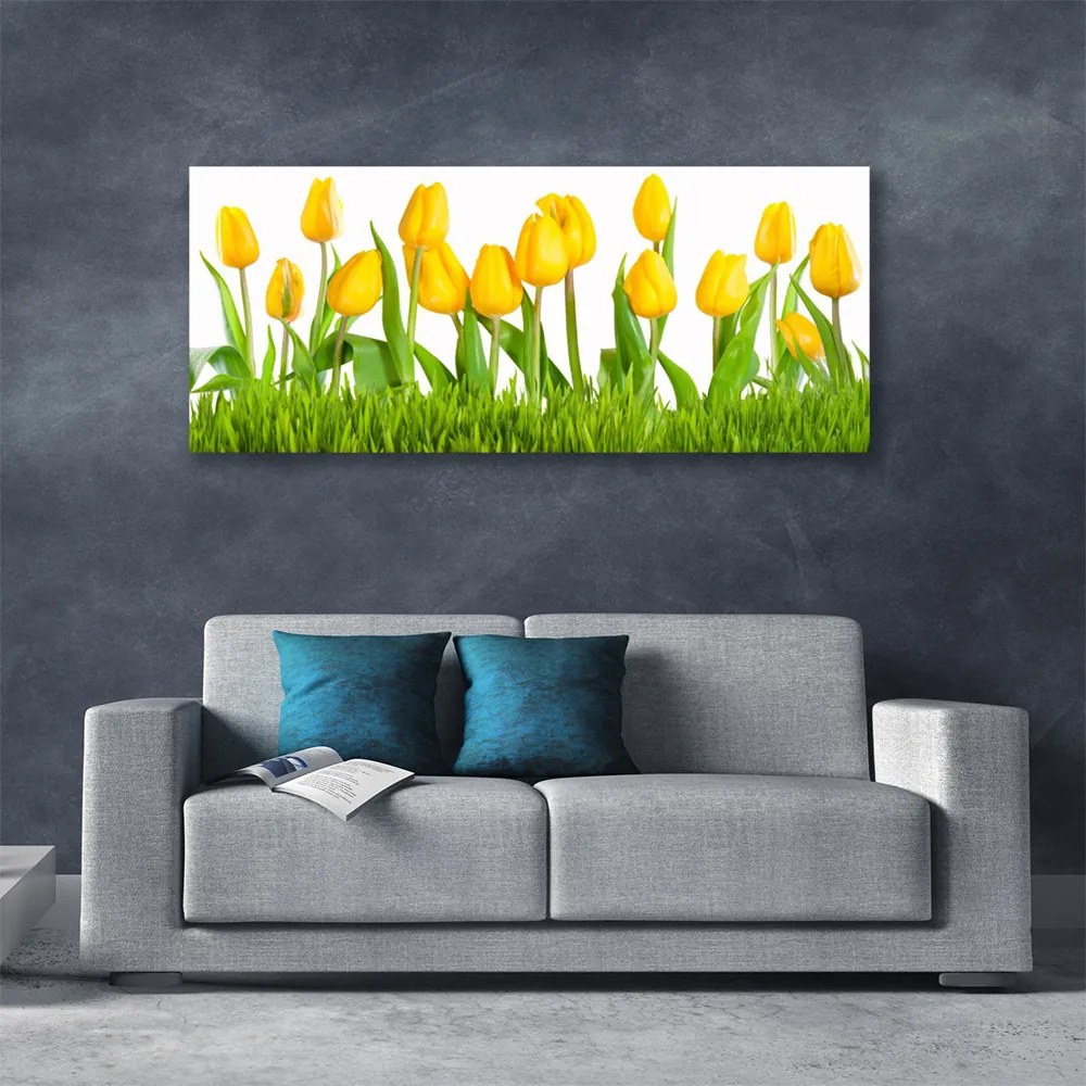 Fotoobraz na płótnie Elegancja Czerwonych Tulipanów