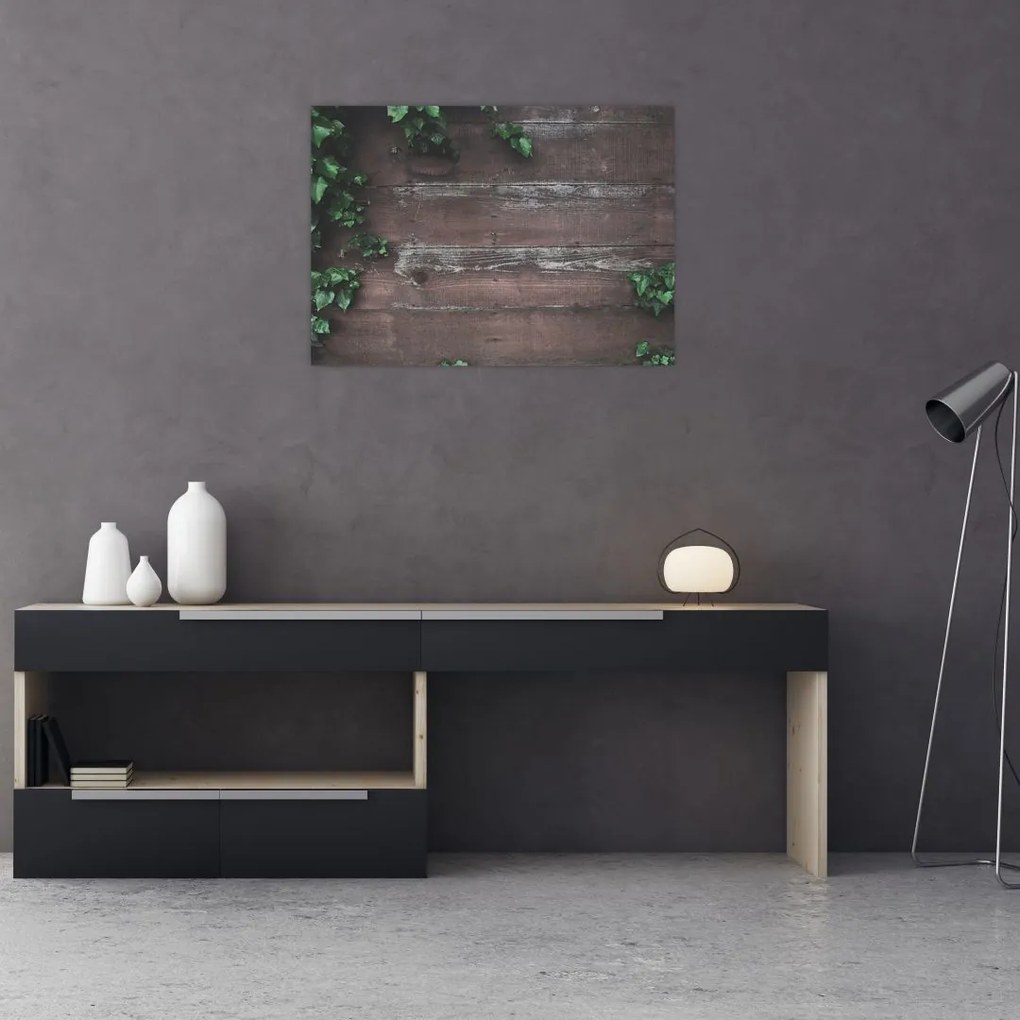 Obraz - Bluszcz (70x50 cm)