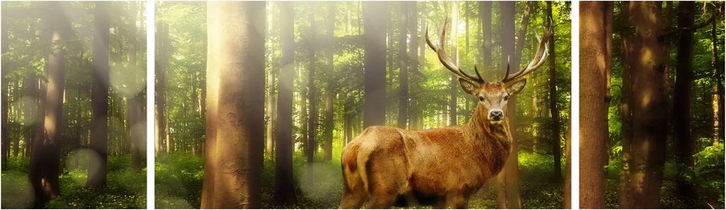 Obraz jelenia w lesie (170x50 cm)