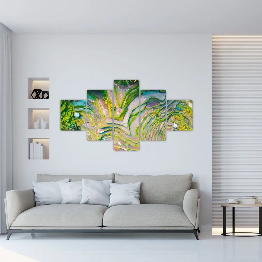 Obraz pól ryżowych z lotu ptaka (125x70 cm)