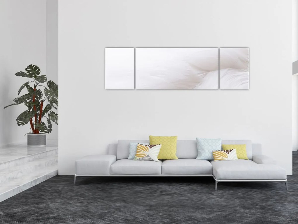 Obraz - Szczegół piórka (170x50 cm)