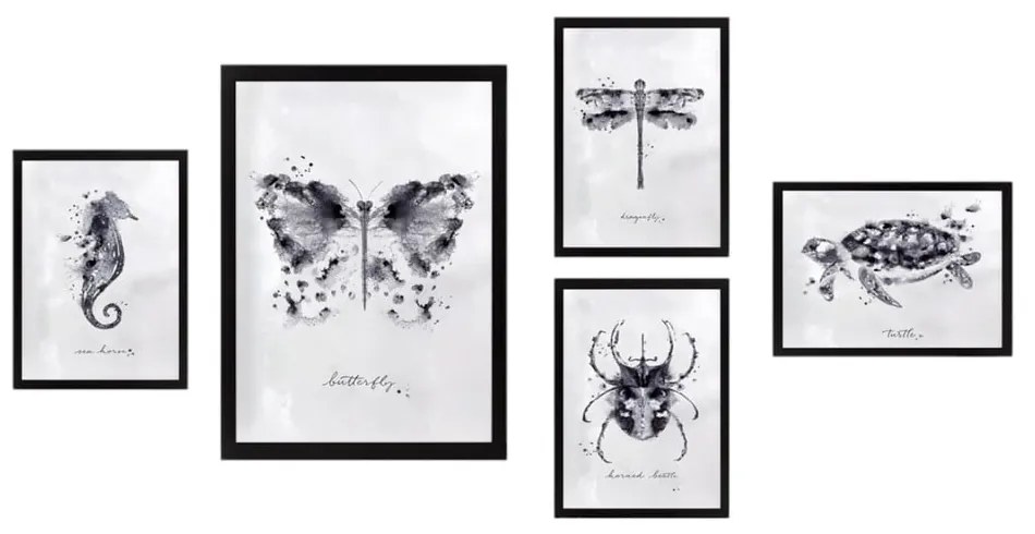 Obrazy zestaw 5 szt. Butterfly – Wallity