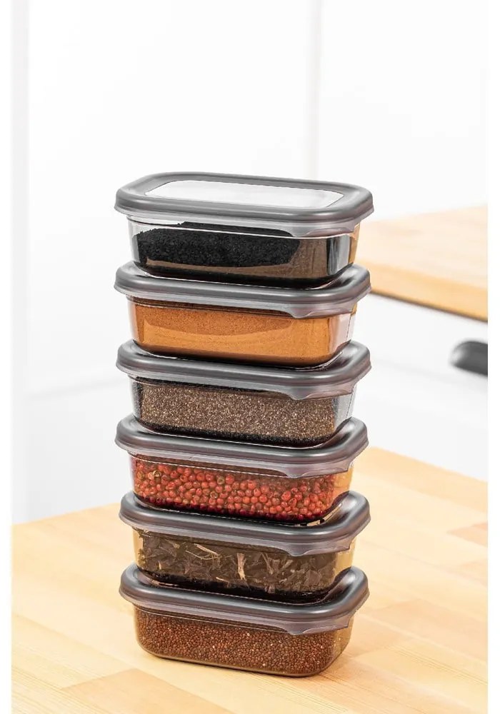 Pojemniki 6 szt. na żywność Fresco – Hermia