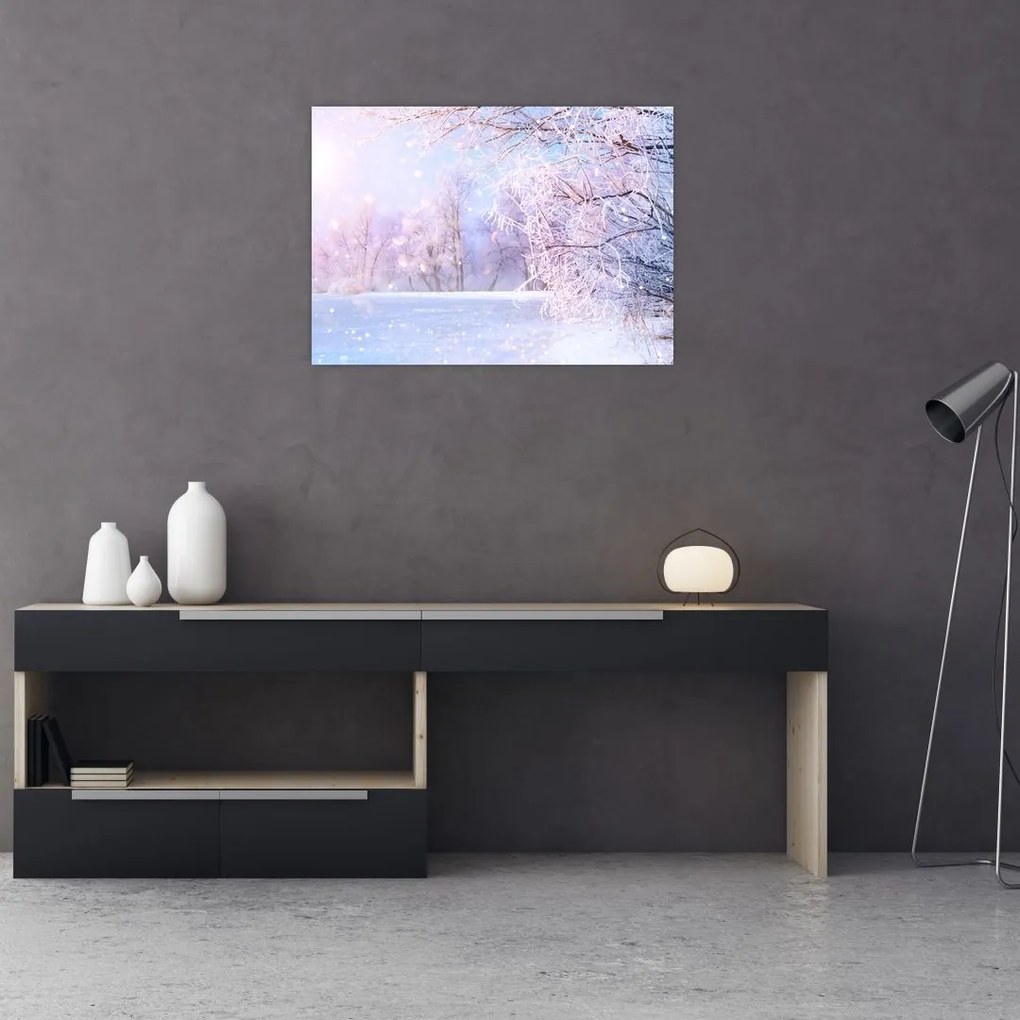 Obraz na szkle - Mroźna zima (70x50 cm)