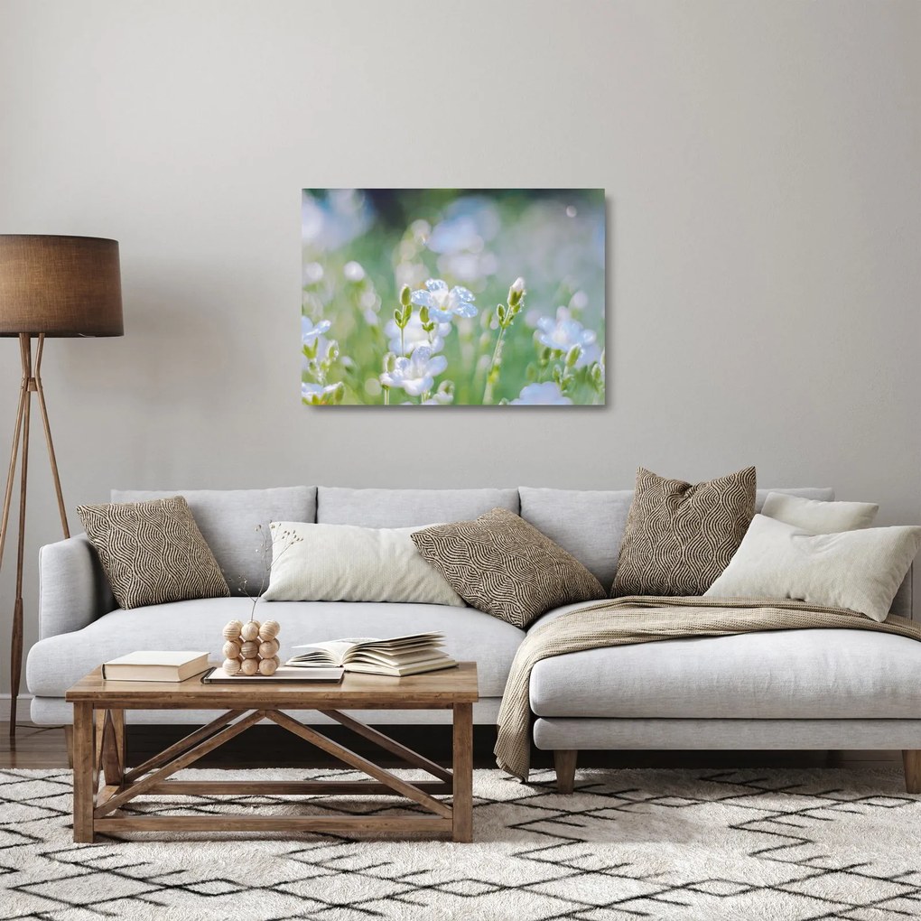 Obraz na szkle - Delikatne kwiaty (70x50 cm)