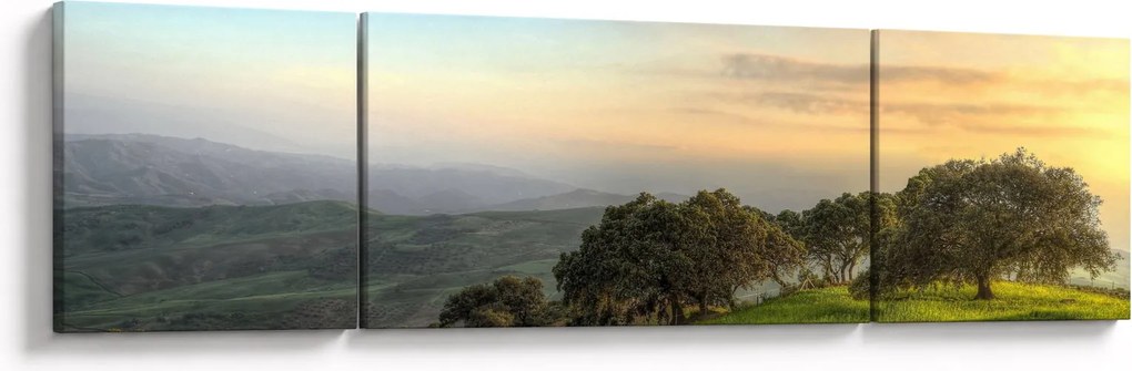 Obraz - Widok ze wzgórza (170x50 cm)